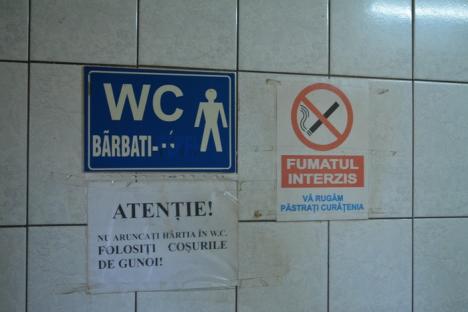 Ruine publice: Vechi, murdare, transformate de boschetari în adăposturi, WC-urile publice din Oradea sunt o ruşine (FOTO)