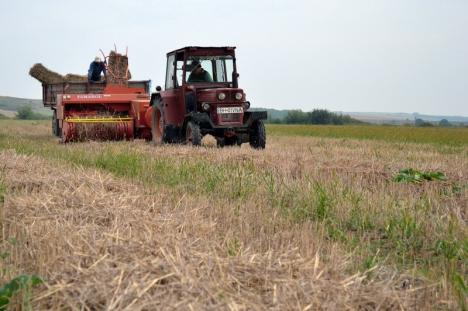 Funcţionarii APIA Bihor vor lucra şi în weekend pentru ca fermierii să îşi poată depune cererile de subvenţii