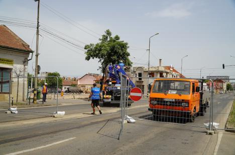 Schimbări majore în traficul din Oradea: Bulevardul Decebal și strada Tudor Vladimirescu, „tăiate” în două de șantierul pasajului subteran (FOTO/VIDEO)