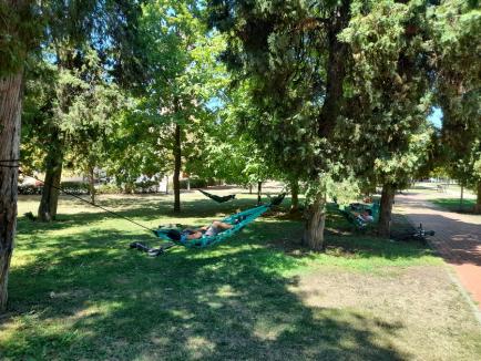 Aventură în Oradea: Un parc din oraș are trasee pentru „acrobați” (FOTO)
