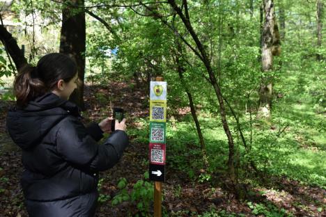 Haideți în natură! Un traseu educativ, accesibil pentru oricine, a fost amenajat în pădurea din Băile Felix (FOTO)