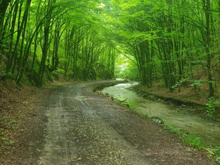 Un nou traseu de via ferrata în Bihor va fi deschis, sâmbătă, în Căbeşti. Ture ghidate gratuite (FOTO)