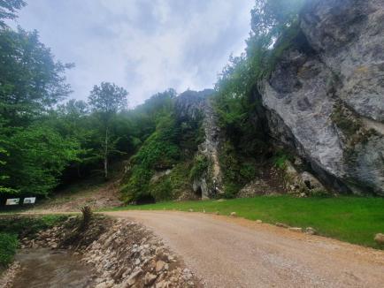 Un nou traseu de via ferrata în Bihor va fi deschis, sâmbătă, în Căbeşti. Ture ghidate gratuite (FOTO)