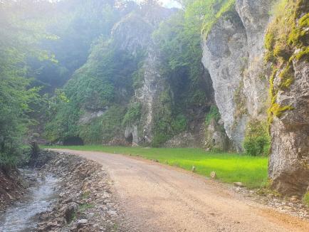 Un nou traseu de via ferrata în Bihor va fi deschis, sâmbătă, în Căbeşti. Ture ghidate gratuite (FOTO)