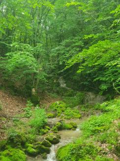 Un nou traseu de via ferrata în Bihor va fi deschis, sâmbătă, în Căbeşti. Ture ghidate gratuite (FOTO)