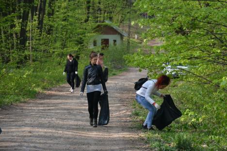 Duminica altfel: Mai mulţi voluntari au strâns gunoaiele dintr-o pădure de la marginea Oradiei. S-a umplut o camionetă! (FOTO)