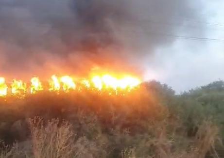 VIDEO / Un tren CFR a fost mistuit de flăcări, în apropiere de stația Oradea Vest. Toți călătorii au fost evacuați