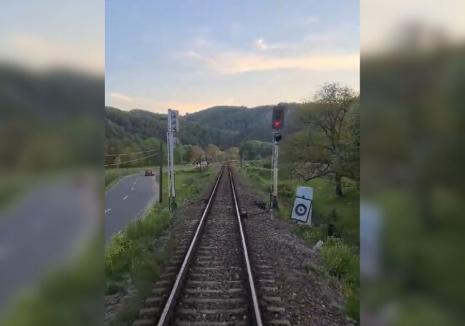 Reportaj Libertatea: Un tânăr jurnalist din Oradea și-a documentat călătoria de 13 ore cu trenul, de la București spre casă 