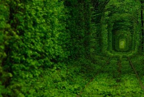 Tunelul Iubirii din România, pe lista "comorilor ascunse" din UE (VIDEO)