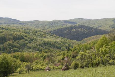 Turism cu măsură: Conducerea județului Bihor vrea să promoveze ecoturismul în ariile protejate, asigurând și ocrotirea lor (FOTO)