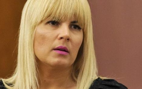 Elena Udrea, condamnată la 6 ani de închisoare cu executare în dosarul Gala Bute