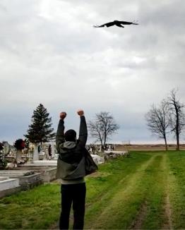 Situaţie periculoasă într-un sat din Bihor: Un uliu şorecar s-a „înstăpânit” pe cimitir şi atacă oamenii (VIDEO)