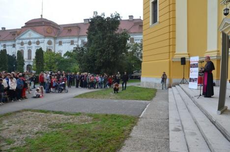 Sute de candele au luminat grădina Palatului Baroc în semn de solidaritate cu cei sărmani (FOTO / VIDEO)