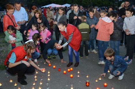 Sute de candele au luminat grădina Palatului Baroc în semn de solidaritate cu cei sărmani (FOTO / VIDEO)