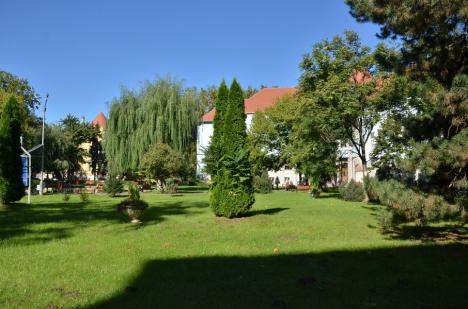 Oradea ieri, Oradea azi: De la Academie de Drept la Universitate, prin Institut de Subingineri (FOTO)