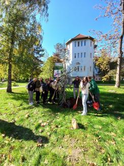 „Plantăm viitorul”: Elevi, studenți și profesori au sădit arbori în campusul Universității din Oradea (FOTO)