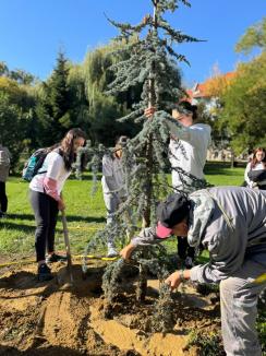 „Plantăm viitorul”: Elevi, studenți și profesori au sădit arbori în campusul Universității din Oradea (FOTO)