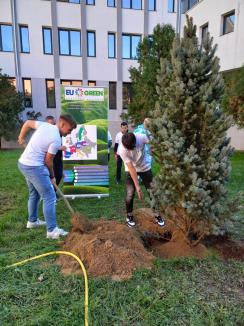 „Plantăm viitorul”: Elevi, studenți și profesori au sădit arbori în campusul Universității din Oradea (FOTO)