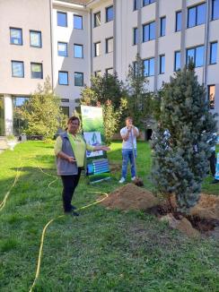 „Plantăm viitorul”: Elevi, studenți și profesori au sădit arbori în campusul Universității din Oradea (FOTO)