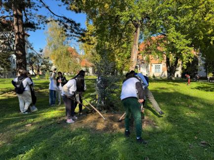 „Plantăm viitorul”: Elevi, studenți și profesori au sădit arbori în campusul Universității din Oradea (FOTO)