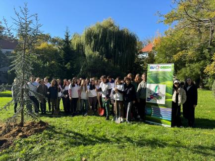 „Plantăm viitorul”: Elevi, studenți și profesori au sădit arbori în campusul Universității din Oradea (FOTO)