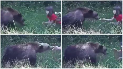Copilă filmată în timp ce hrănea un urs, sub privirile tatălui