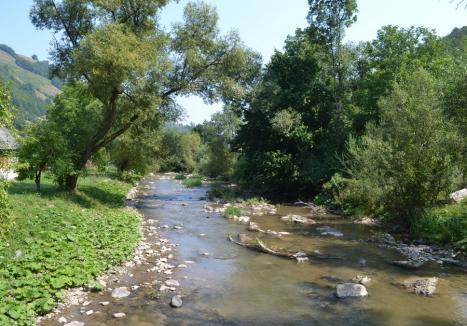 Facem Valea Iadului curată! Aqua Crisius îi cheamă pe bihoreni la două acţiuni voluntare de ecologizare