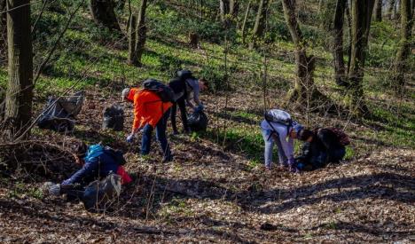 Ecologizare în Valea Roșie: 50 de voluntari au adunat PET-uri, sticle, roţi de bicicletă şi scutece aruncate în aria protejată (FOTO)