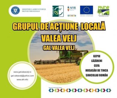 Apel de selecție: GAL Valea Velj anunță lansarea sesiunii de cerere de proiecte LEADER