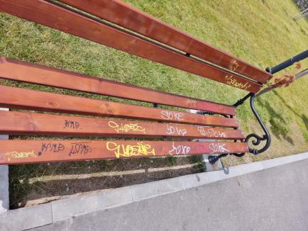 „Pandemie” de graffiti în Oradea! Primăria îndeamnă cetățenii să-i reclame pe vandali (FOTO)