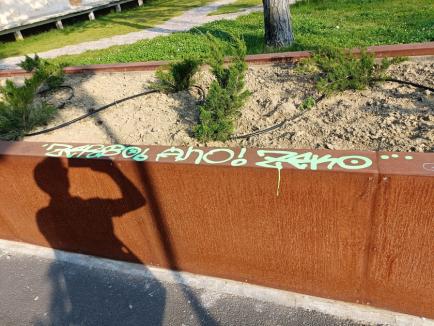 Doi adolescenți din Oradea, prinși că au mâzgălit cu graffiti un parc dat în folosinţă de curând! Vezi ce au pățit vandalii! (FOTO)