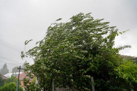 Cod galben de vânt în mai multe localități din Bihor