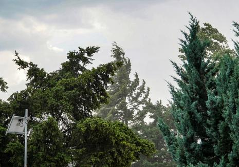 Vânt și furtuni în Bihor: Un nou cod galben emis de meteorologi