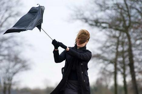 Administraţia de Meteorologie: Cod galben de vânt în Bihor!