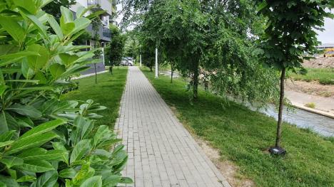Vedere la... țevi: Primăria Oradea le-a creat un „view cu țevi” locuitorilor din cartierul Prima Nufărul (FOTO)