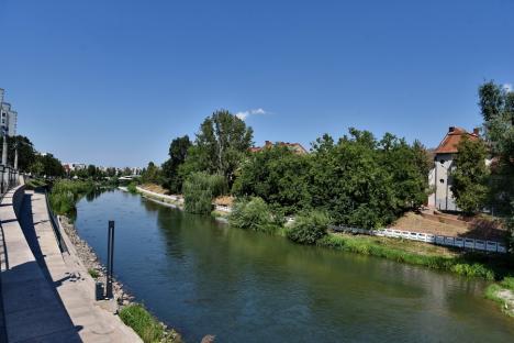 Verde autentic: 10 hectare de terenuri și scuaruri degradate din Oradea se vor transforma în pajiști urbane (FOTO)