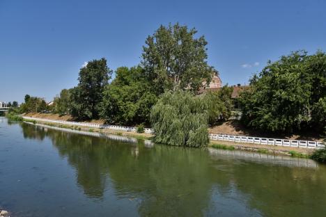 Verde autentic: 10 hectare de terenuri și scuaruri degradate din Oradea se vor transforma în pajiști urbane (FOTO)