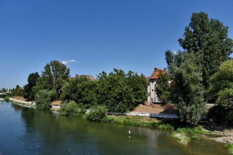 Verde autentic: 10 hectare de terenuri și scuaruri degradate din Oradea se vor transforma în pajiști urbane (FOTO)