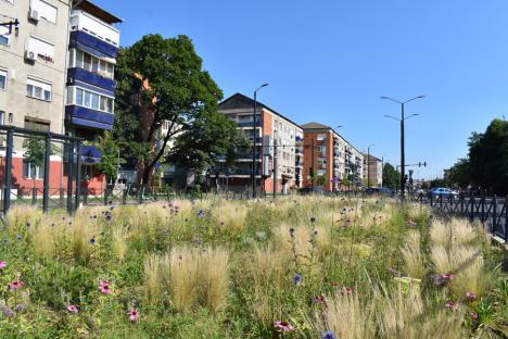 Verde „natur”: Cum arată primul spațiu verde din Oradea amenajat în armonie cu natura (FOTO)