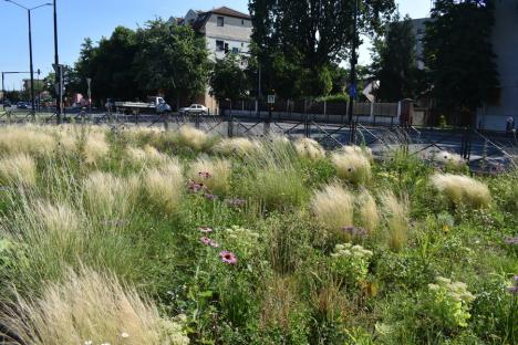Verde „natur”: Cum arată primul spațiu verde din Oradea amenajat în armonie cu natura (FOTO)