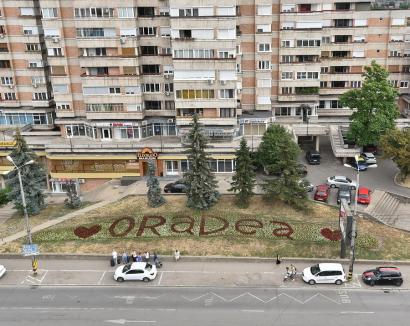 Tu știi ce arbori sunt în Oradea? Primăria a lansat harta spațiilor verzi din oraș