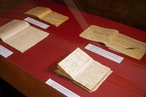 Ce se juca la teatrul din Oradea în anii 1800? Documente scoase în premieră din arhive, expuse la Teatru (FOTO)