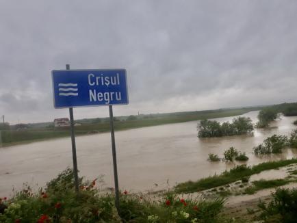Viitura de pe Crișul Negru avansează spre Ungaria. Mai multe râuri din Bihor rămân sub cod portocaliu de inundaţii (FOTO / VIDEO)