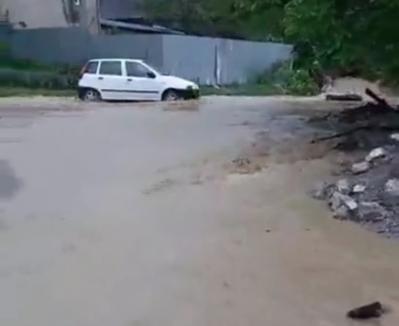 S-a abătut grindina asupra judeţului Bihor. În Oradea, furtuna a şi doborât trei copaci (FOTO / VIDEO)