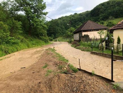 Cum arată satul bihorean Valea de Sus, după viitura care a luat pe sus un copil de 4 ani: case inundate, culturi distruse (FOTO / VIDEO)
