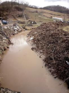 70 de case și 66 de poduri, afectate de inundații în Bihor (FOTO)