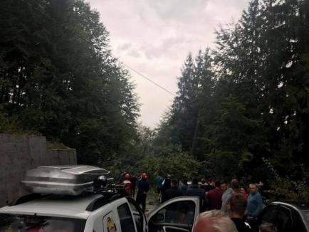 Prăpăd în Bihor, după vijelie: Aproape 40 de localităţi afectate, copaci şi stâlpi de curent căzuţi, 150 de turişti blocaţi în zona Barajul Leşu (FOTO)