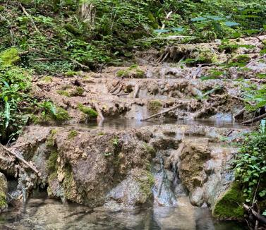 Protecţie pentru o minune a naturii din Bihor: Consiliul Judeţean începe demersurile ca izvorul pietrifiant descoperit în judeţ să fie ocrotit (FOTO)