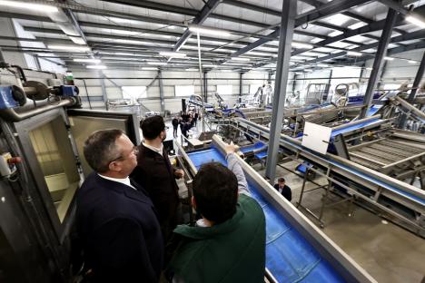 Premierul Ciucă, în vizită la o fabrică din Bihor care procesează legume: „Un model ce poate fi multiplicat” (FOTO)
