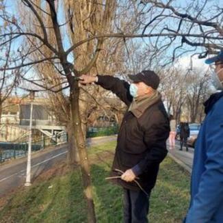 Voluntari în Oradea: Zeci de tineri 'edubişti', ajutaţi şi de episcopul Virgil Bercea, au făcut curăţenie pe malurile Crişului (FOTO)